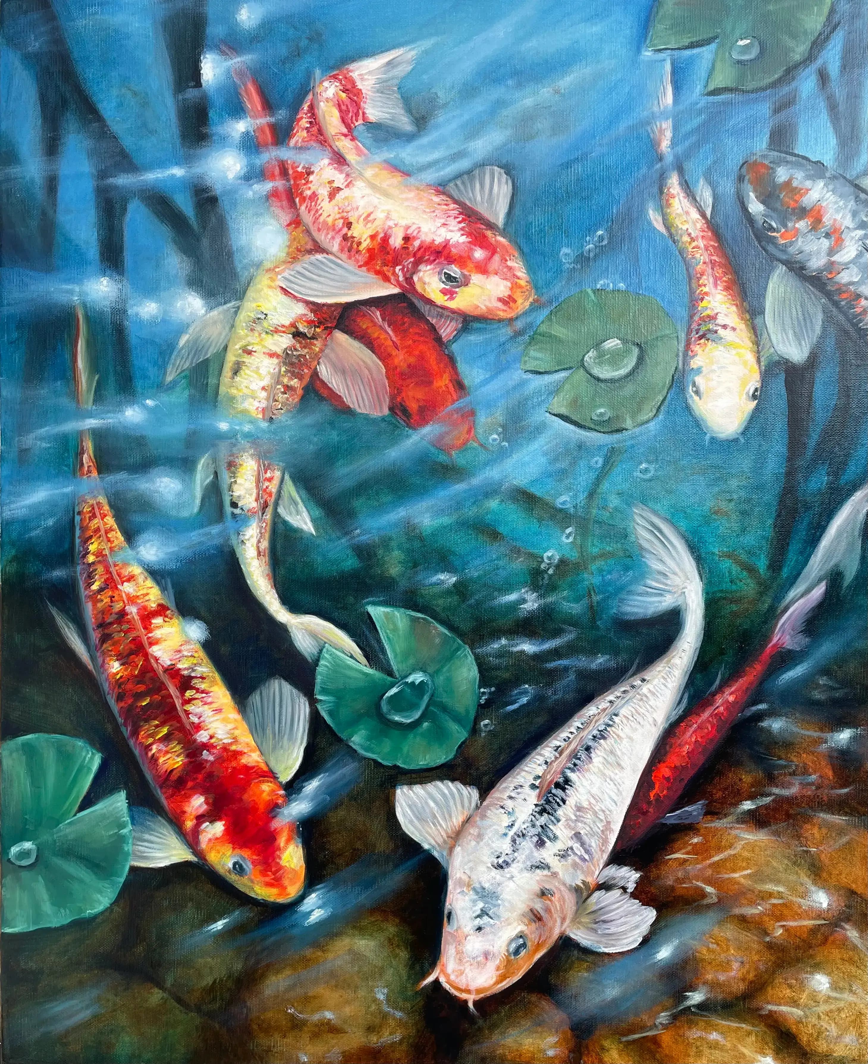 Carps in the Pond