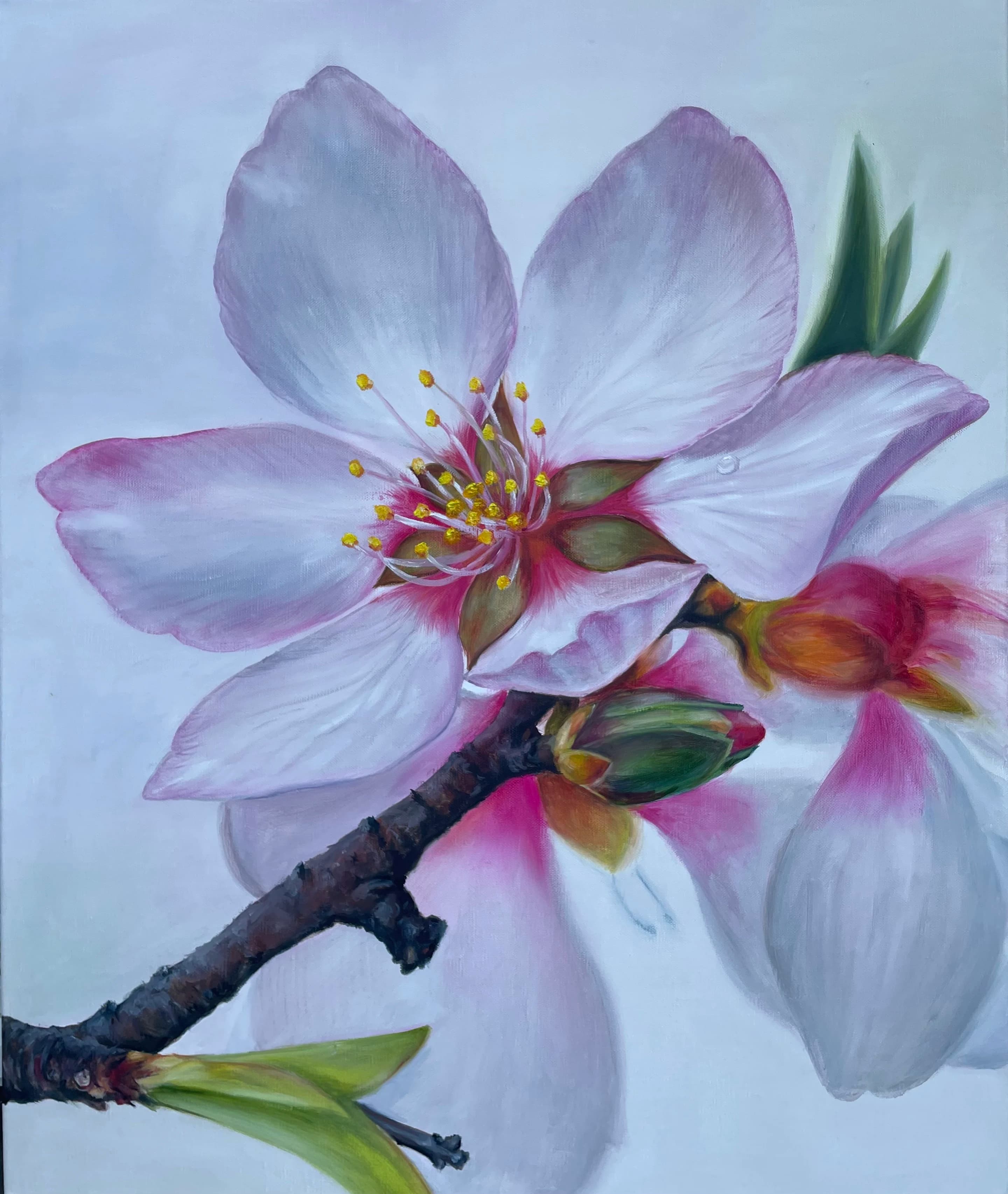 Peach Flowers