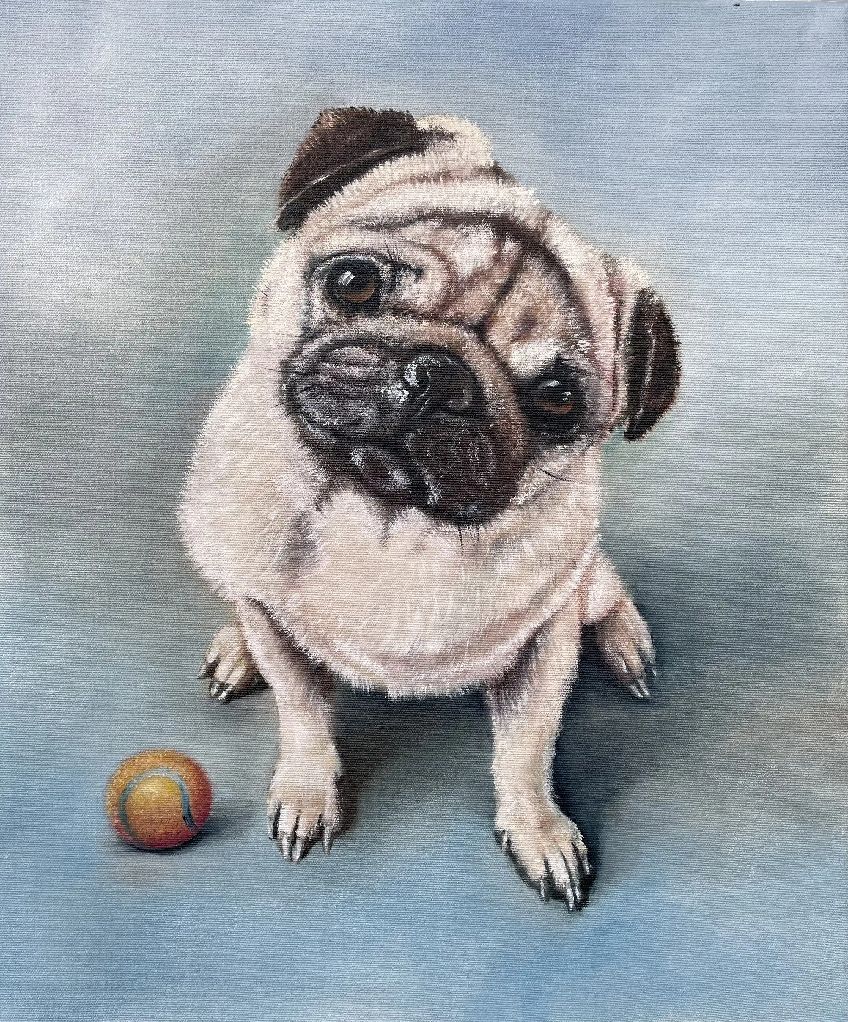 Pug-dog