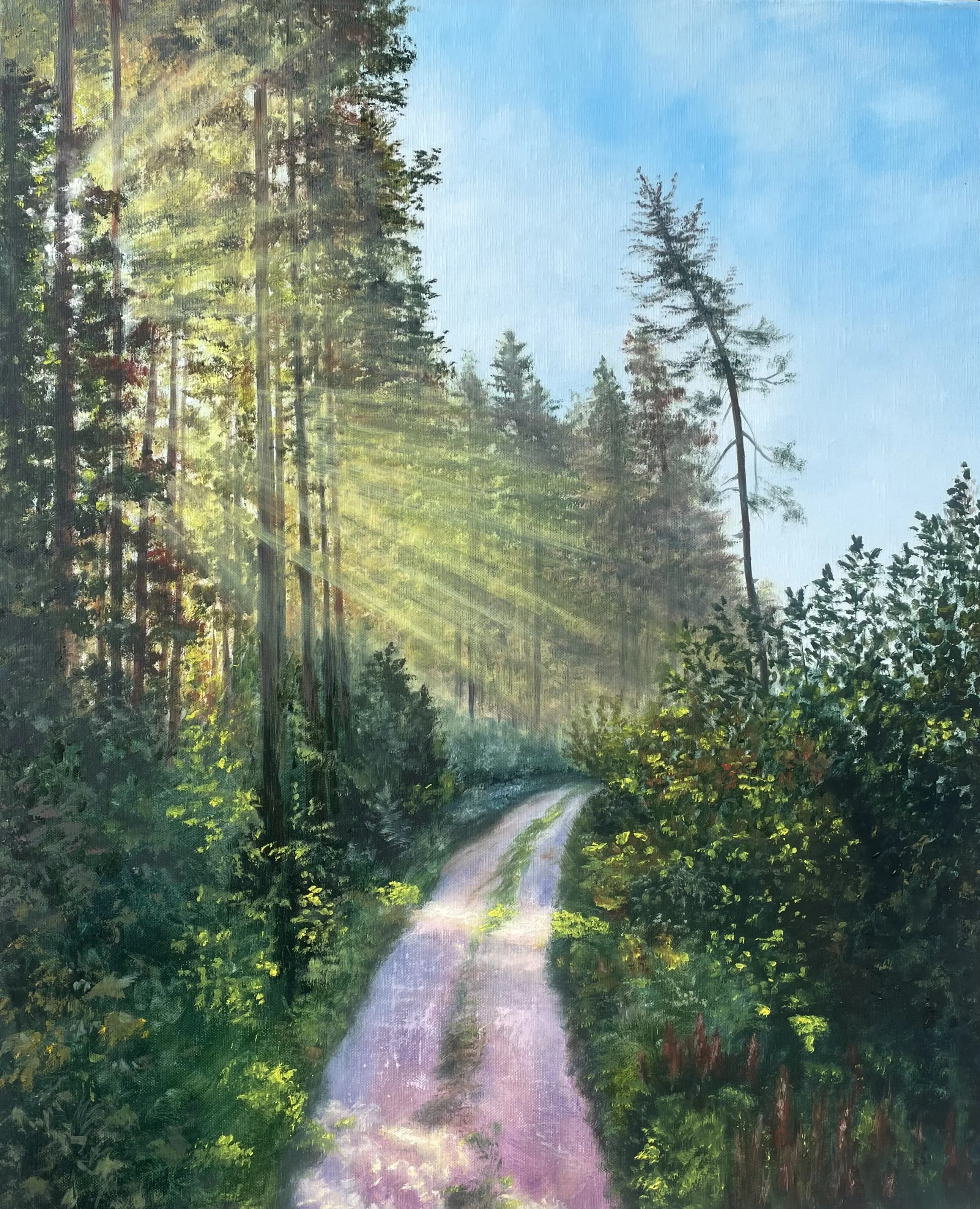 Sunny Forest
