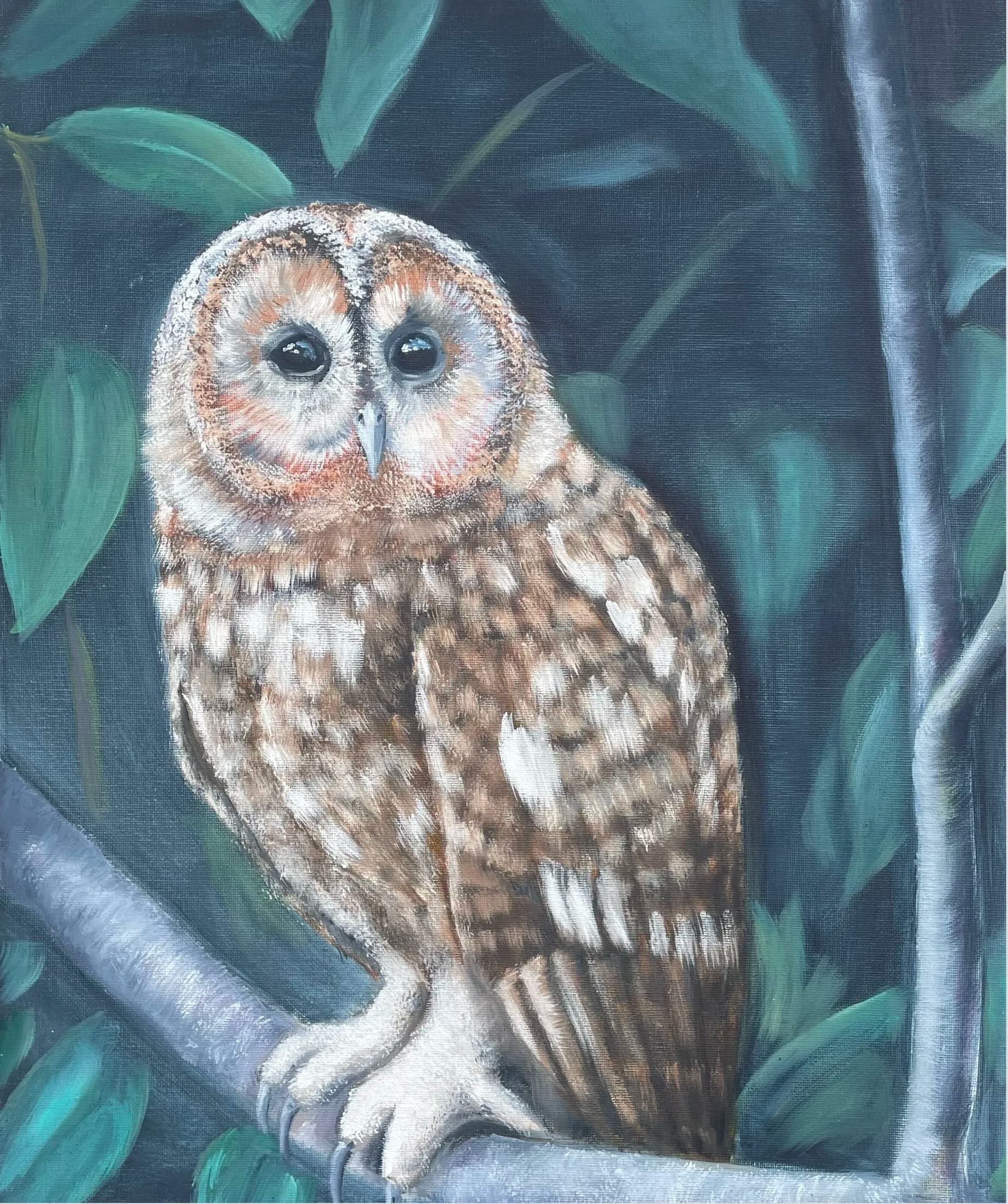 Owl